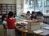 DSC00294.jpg