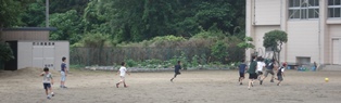 DSC00295.jpg