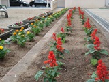 DSC00290.jpg