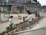 DSC00287.jpg