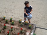 DSC00288.jpg