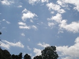 DSC00036.jpg