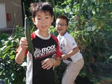 DSC00117.jpg