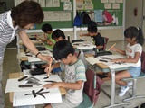 DSC00208.jpg