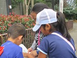 IMG_0031.jpg IMG_0031.jpg