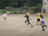 DSC00541.jpg