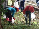 DSC00564.jpg