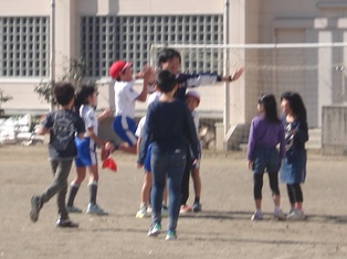 DSC00503.jpg