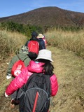IMG_1262.jpg IMG_1262.jpg