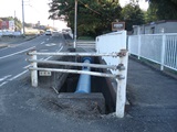 DSC00615.jpg