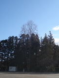 DSC00513.jpg DSC00513.jpg