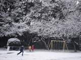 DSC00543.jpg