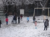 DSC00549.jpg