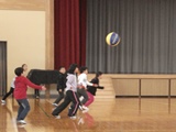 DSC00547.jpg