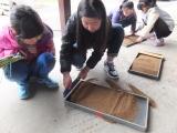 DSCF7859.JPG DSCF7859.JPG