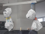 DSC00653.jpg DSC00653.jpg