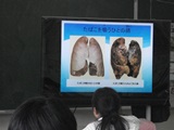 DSC00772.jpg