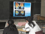 DSC00774.jpg