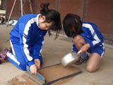 DSC00034.jpg