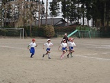 DSC00140.jpg