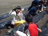 DSC00240.jpg