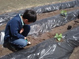 DSC00242.jpg