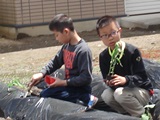 DSC00243.jpg