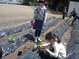 DSC00241.jpg