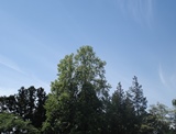 DSC00273.jpg