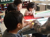 DSC00325.jpg