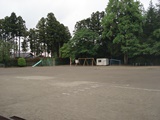 DSC00180.jpg