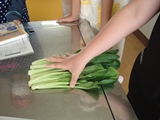 DSC00248.jpg