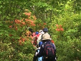 IMG_1423.jpg IMG_1423.jpg