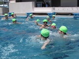 DSC00207.jpg