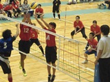 DSC00376.jpg