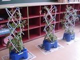 DSC00746.jpg