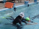 DSC00601.jpg