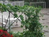 DSC00649.JPG