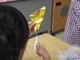 DSC00617.jpg