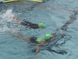 DSC00643.jpg