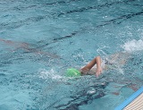 DSC00638.jpg