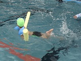 DSC00653.jpg