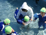 DSC00705.jpg