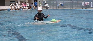 DSC06618.jpg