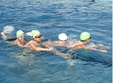 DSC00740.jpg