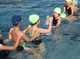 DSC00742.jpg