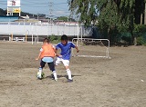 DSC00775.jpg
