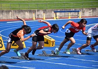 192.jpg