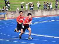 260.jpg