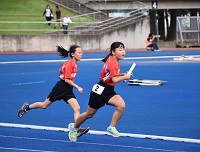 308.jpg